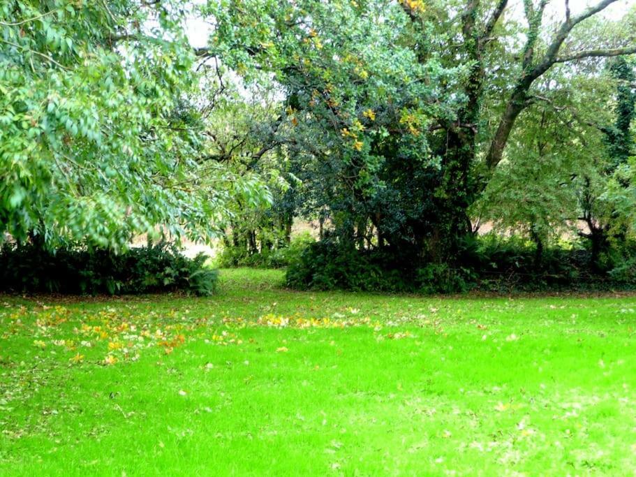 Апартаменты Croft Flat Kilgetty Экстерьер фото